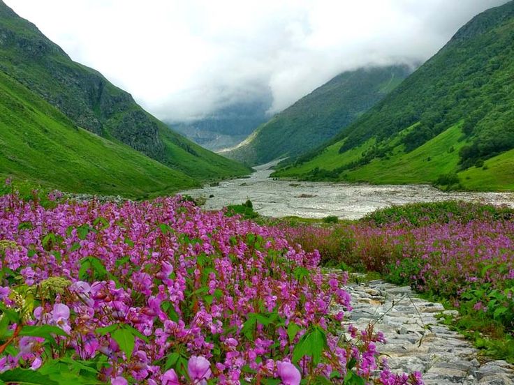 phool dei festival in india