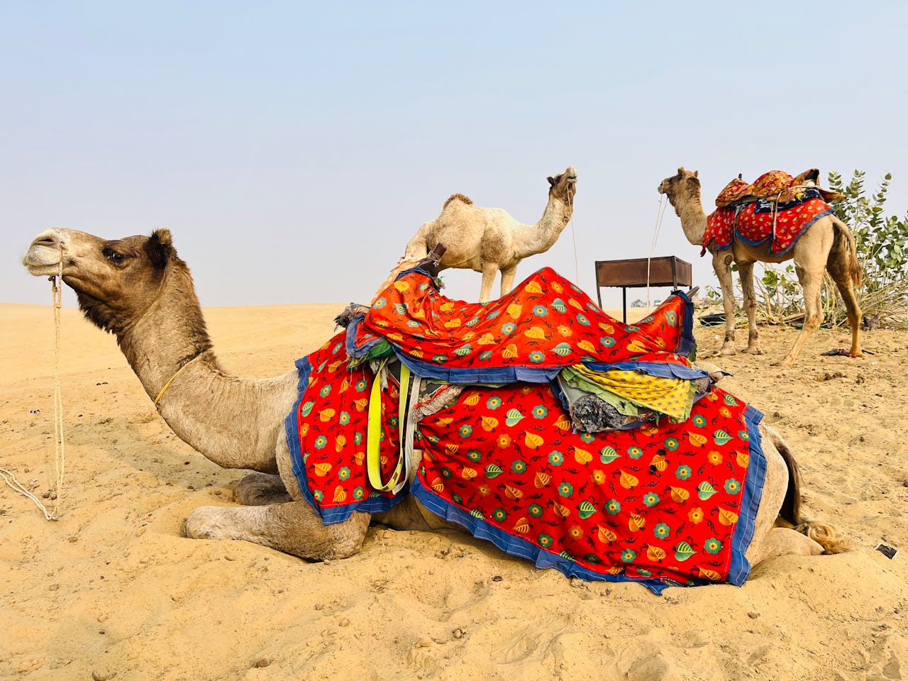 jaisalmer in rajasthan